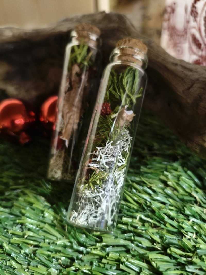 ЛЕС в стекле